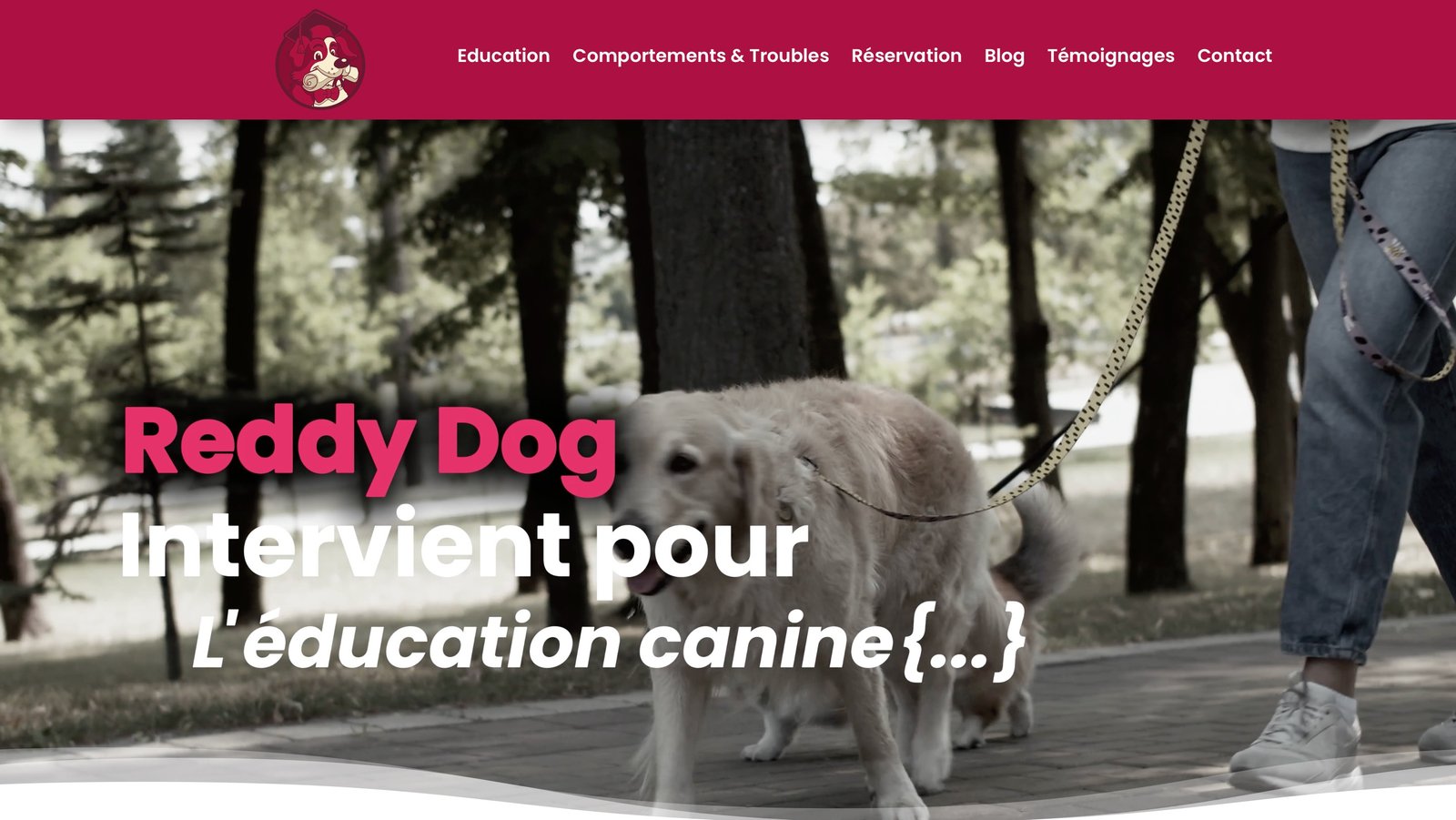 Capture du site Reddy Dog